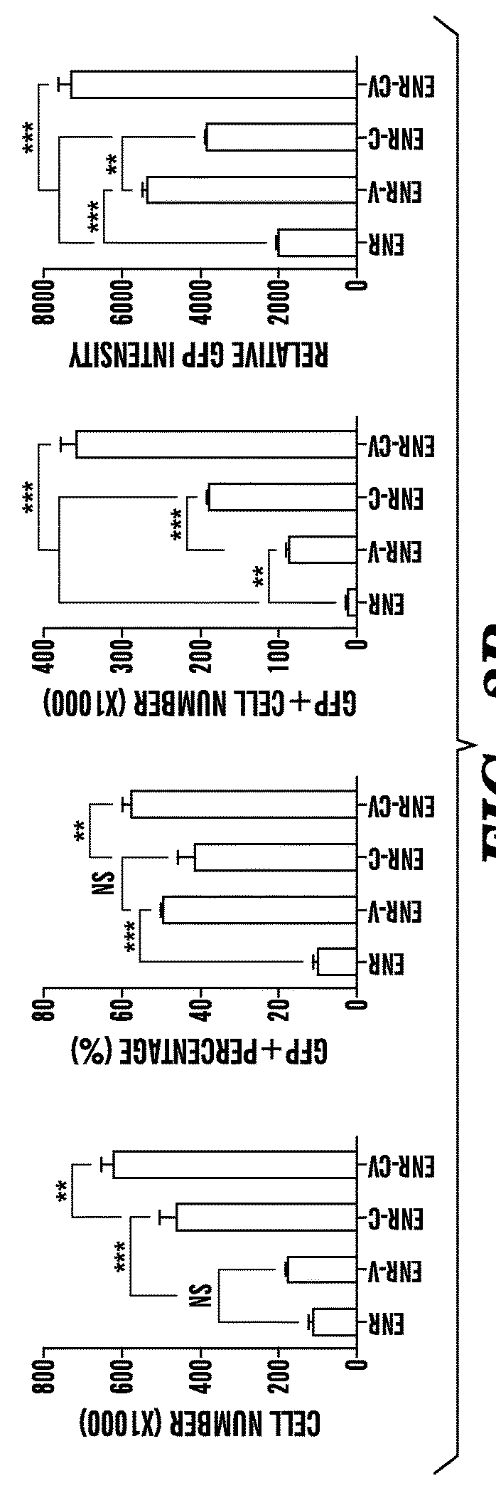 Compositions and methods for epithelial stem cell expansion and culture