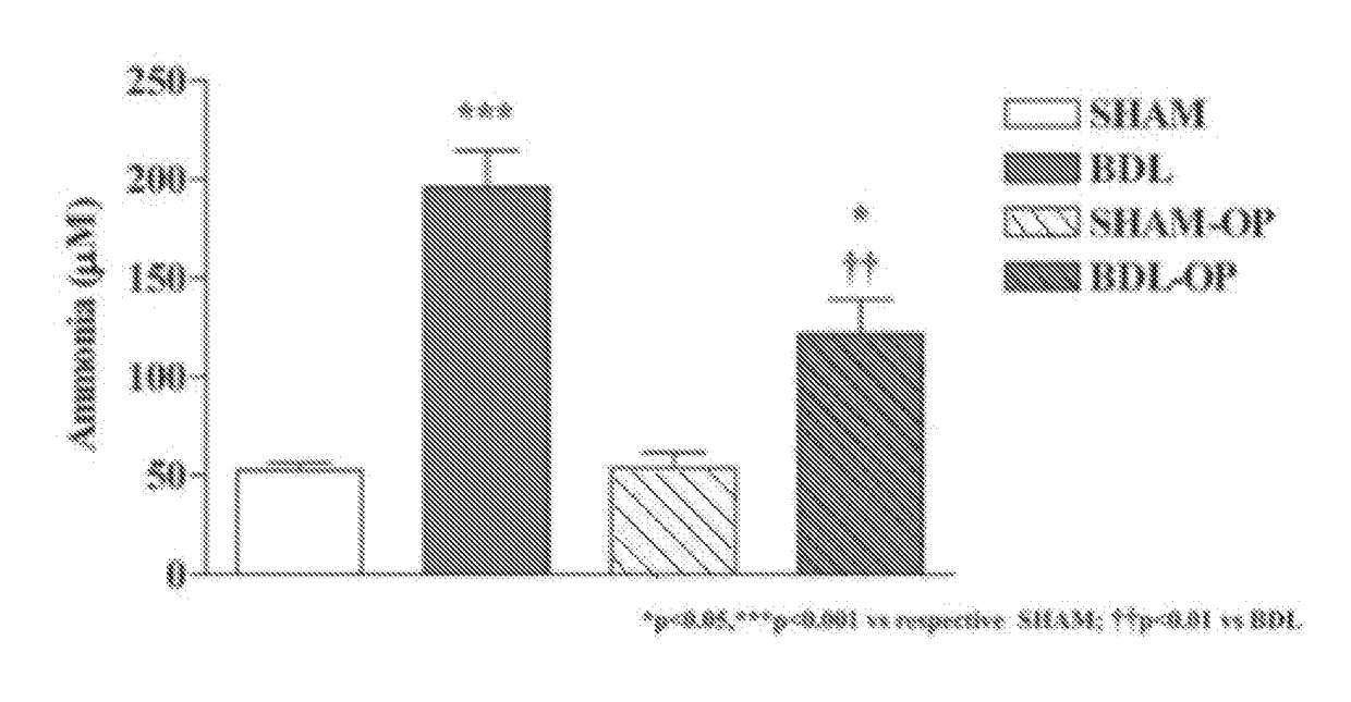 Treatment and prevention of muscle loss using l-ornithine in combination with at least one of phenylacetate and phenylbutyrate