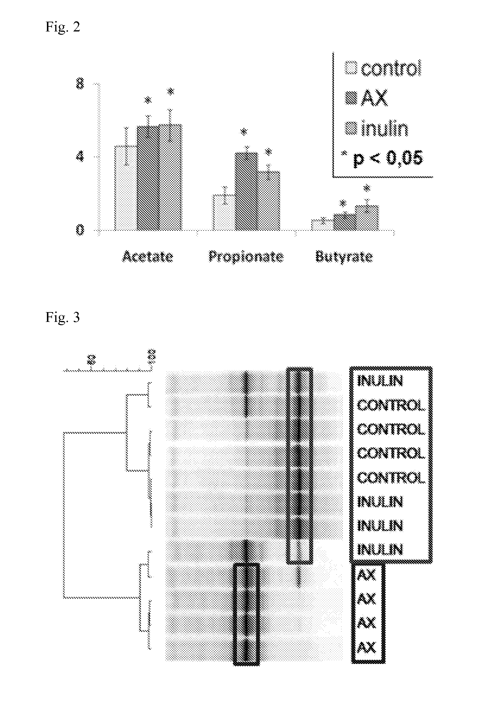 Arabinoxylans for modulating the barrier function of the intestinal surface