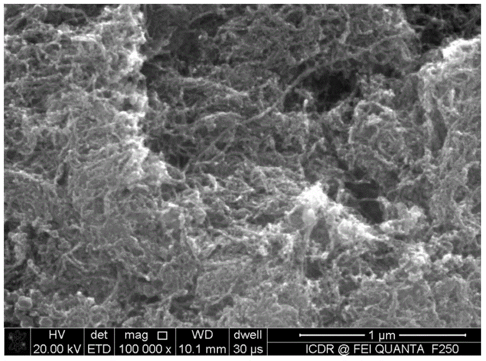 Preparation method of SnOx/carbon nano-tube composite material for lithium ion battery