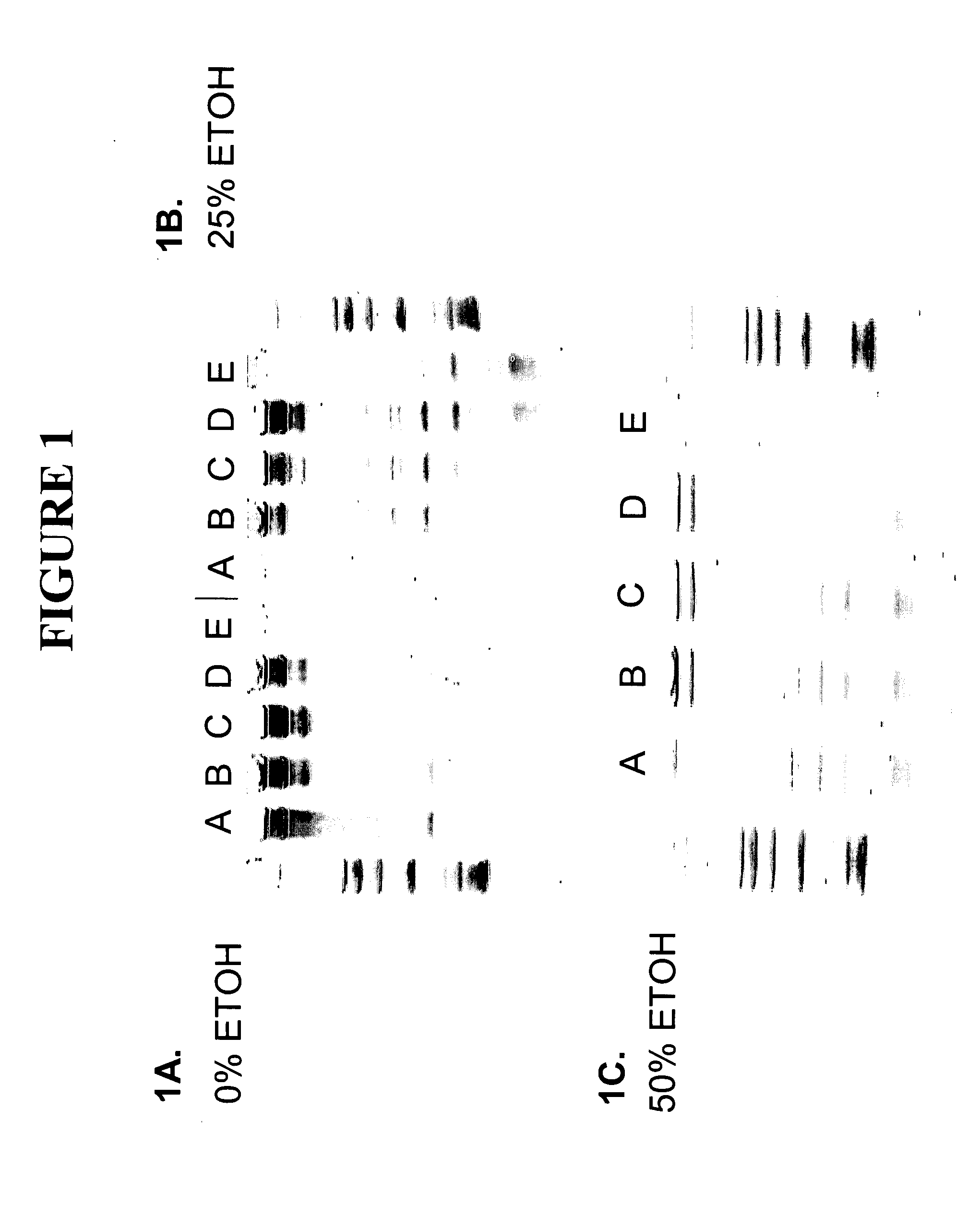 Small RNA purification