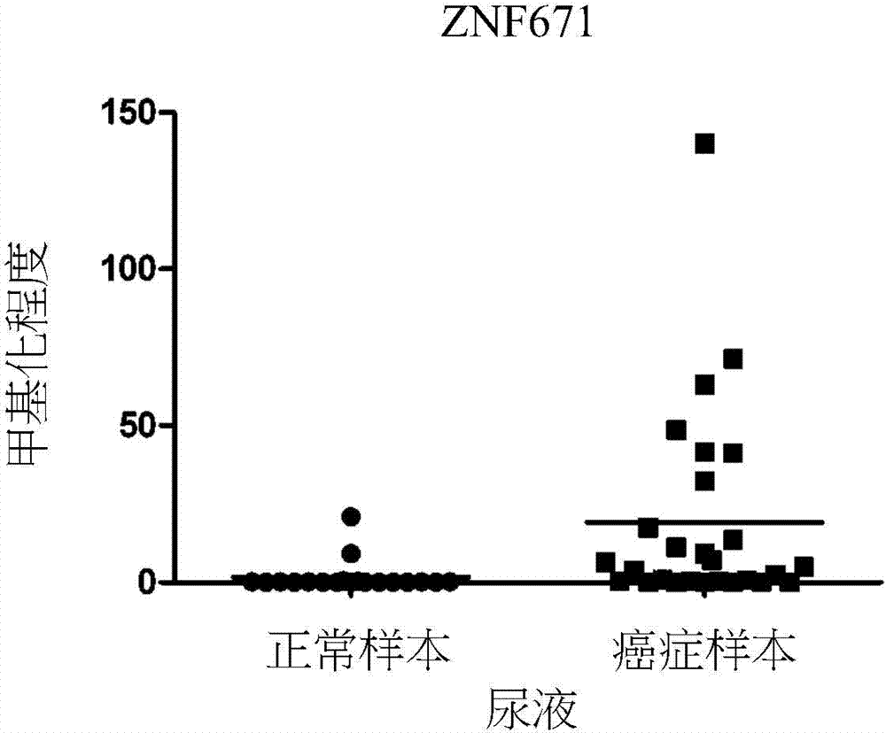 Novel epigenetic biomarker for detecting bladder cancer and method thereof