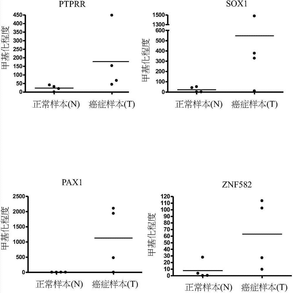 Novel epigenetic biomarker for detecting bladder cancer and method thereof