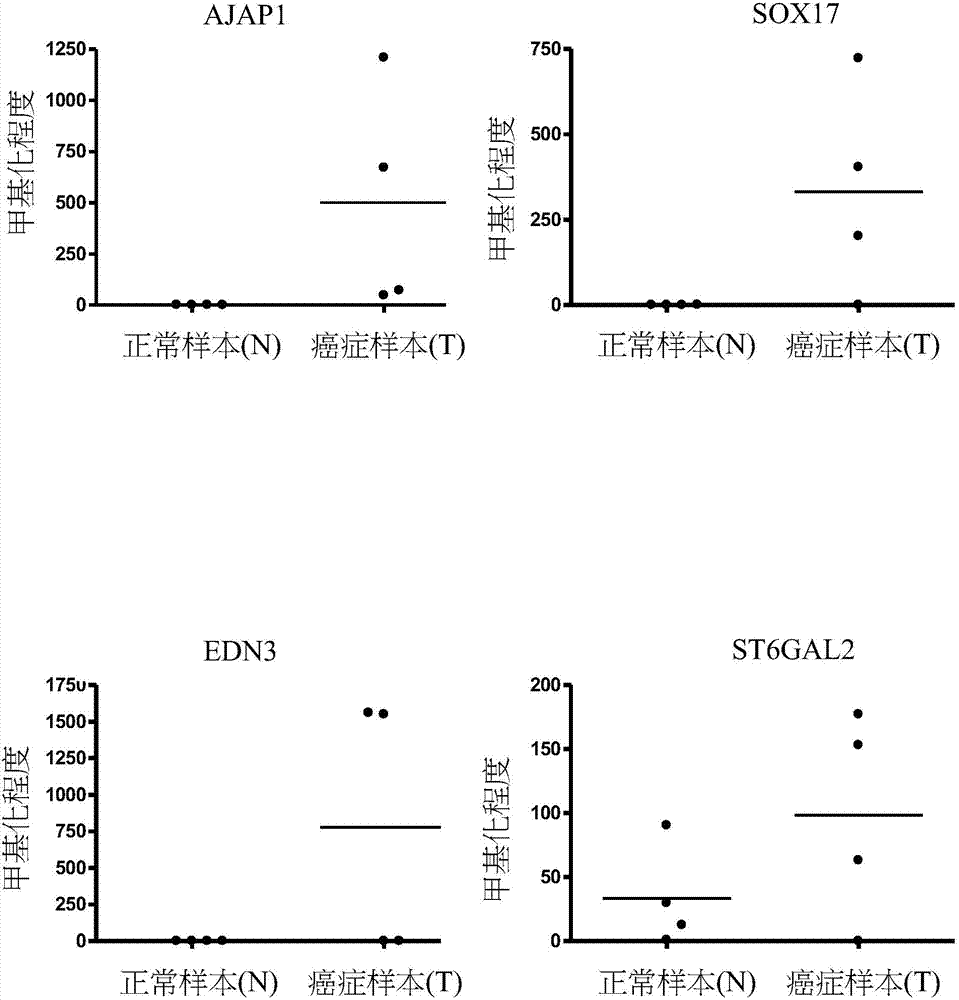 Novel epigenetic biomarker for detecting bladder cancer and method thereof