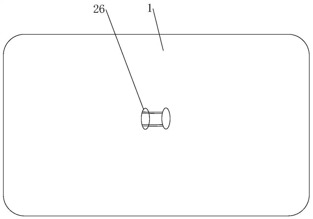 Animal in-vitro loading device