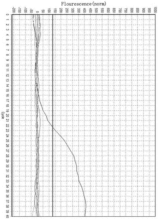 Real time polymerase chain reaction (PCR) detection primer, real time PCR probe and kit for detecting duck adenovirus A and duck adenovirus 2