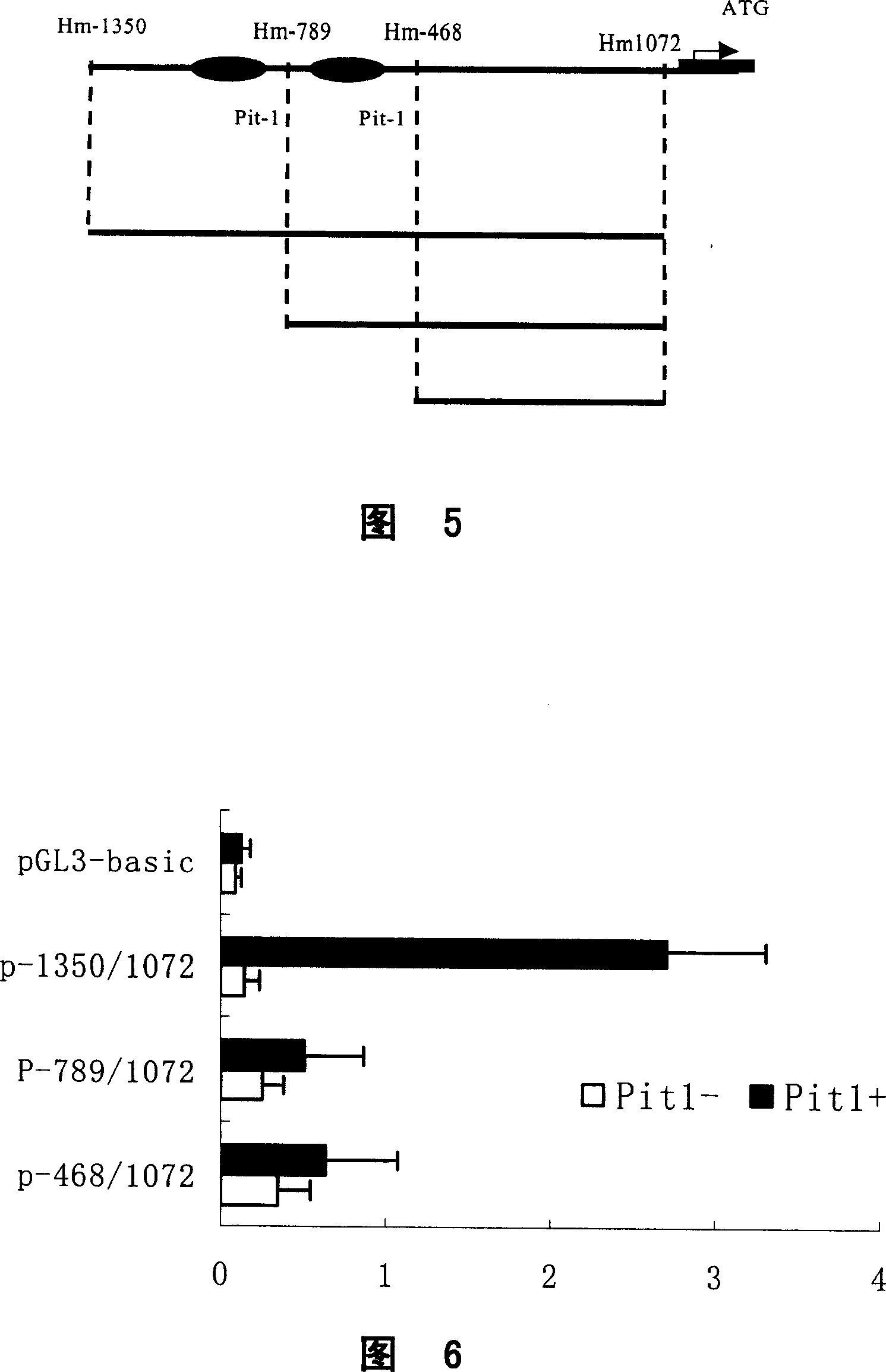 Monoclonal antibody for resisting human osteogenesis induction factor and its preparation method and uses