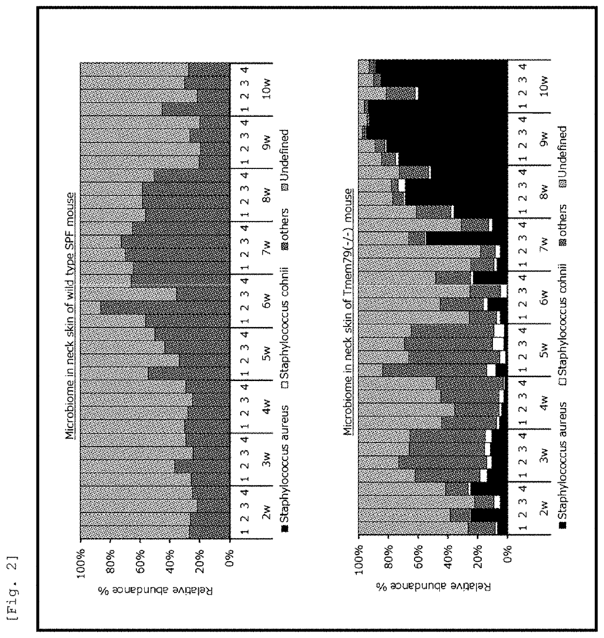 Pharmaceutical composition for prevention, amelioration, or treatment of skin disease