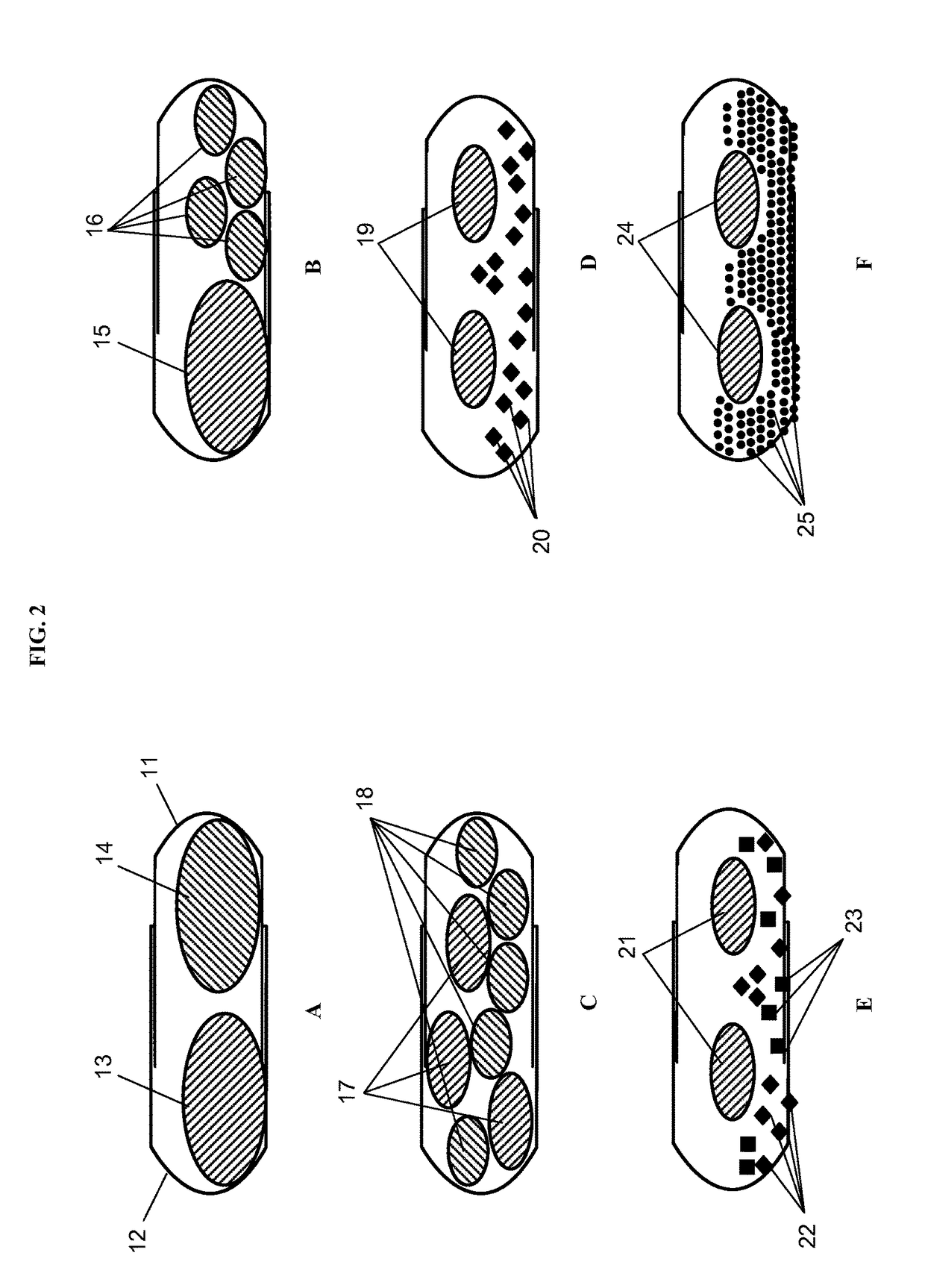 Tamper resistant dosage form with bimodal release profile