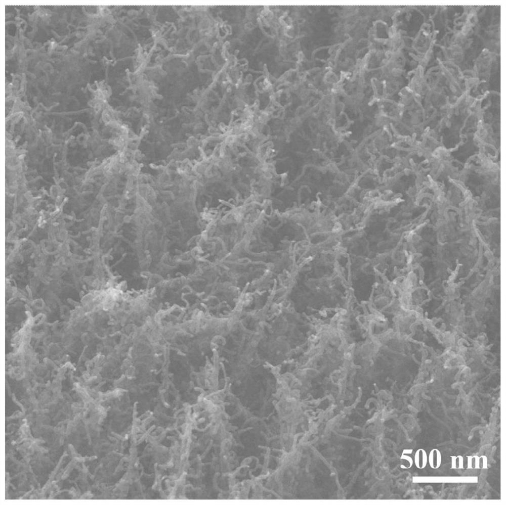 Flexible integrated lithium-sulfur battery positive electrode material and preparation method thereof