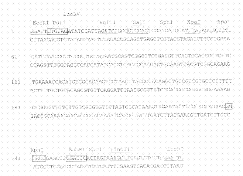 Method for knocking out target gene of Chlamydomonas reinhardtii