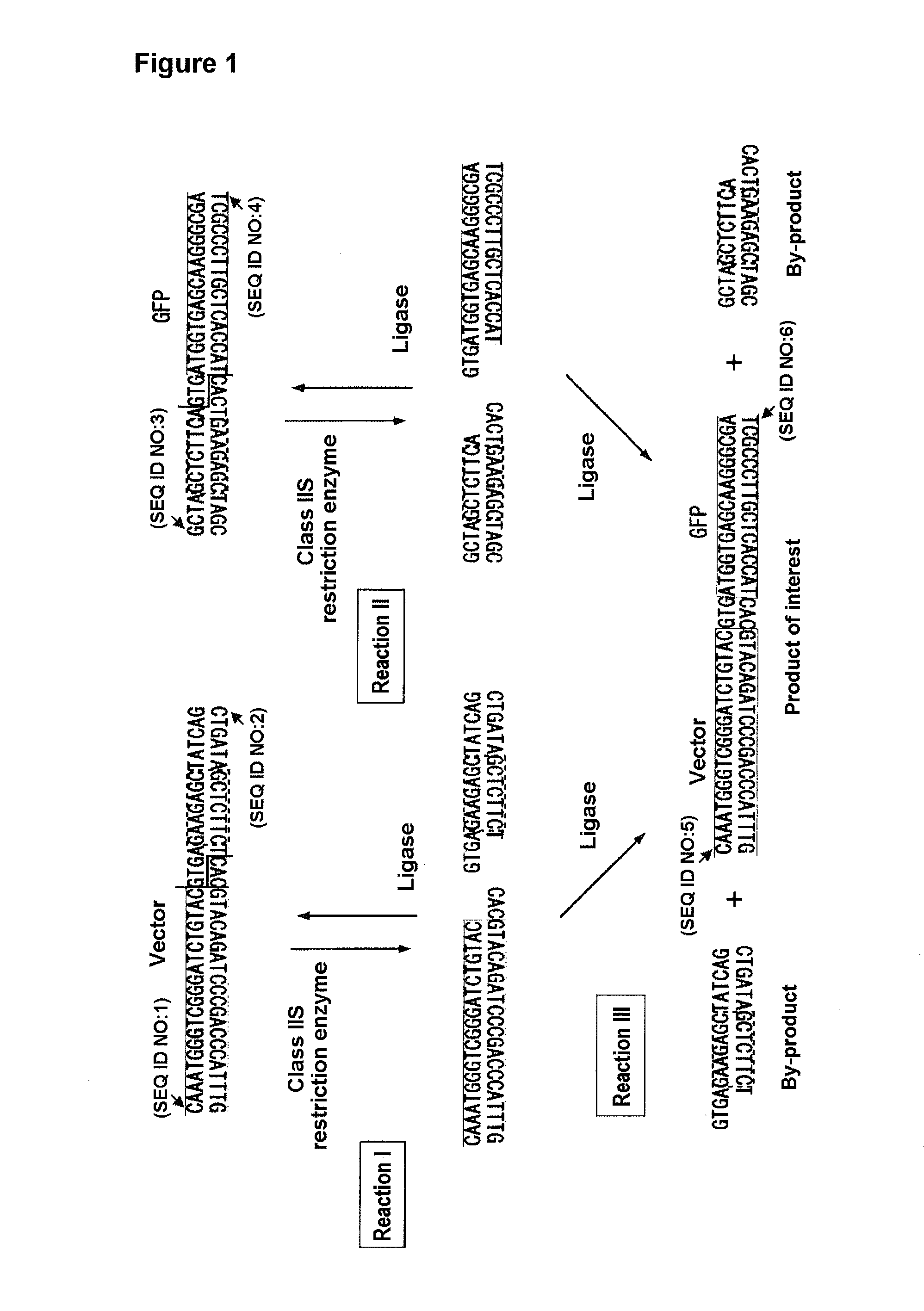 Method for preparation of recobinant DNA