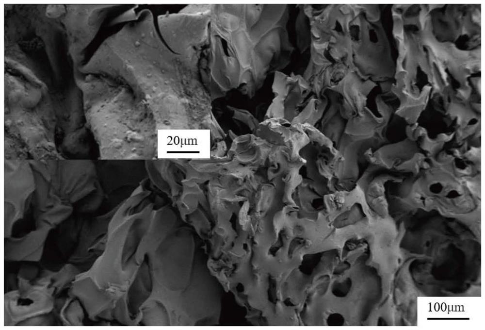 Preparation method and application of self-cleaning gel with adsorption-photocatalysis synergistic effect