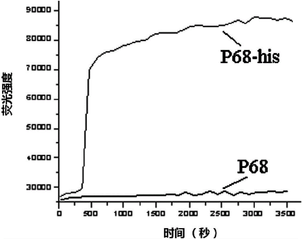 Nucleic acid aptamer molecular beacon probe for detecting histidine-tag recombinant proteins and detection method thereof