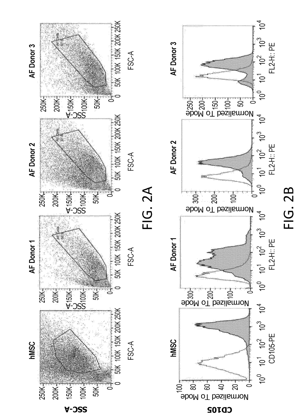 Multipotent prenatal stem cells