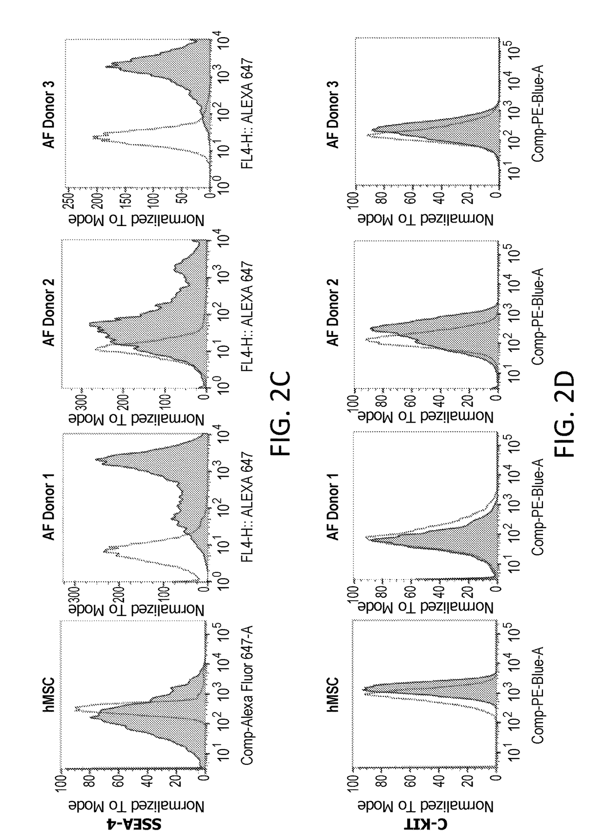 Multipotent prenatal stem cells