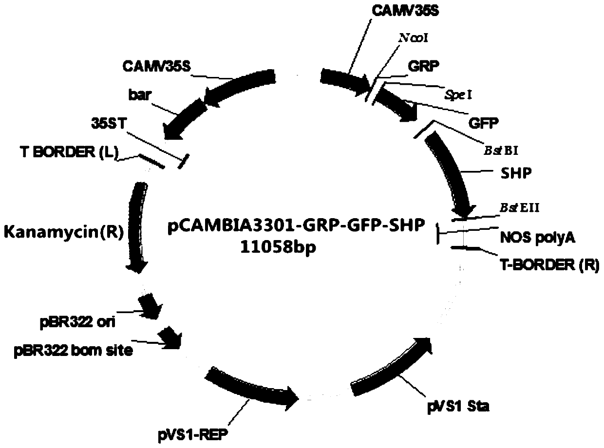 Method for degrading tobacco straw lignin