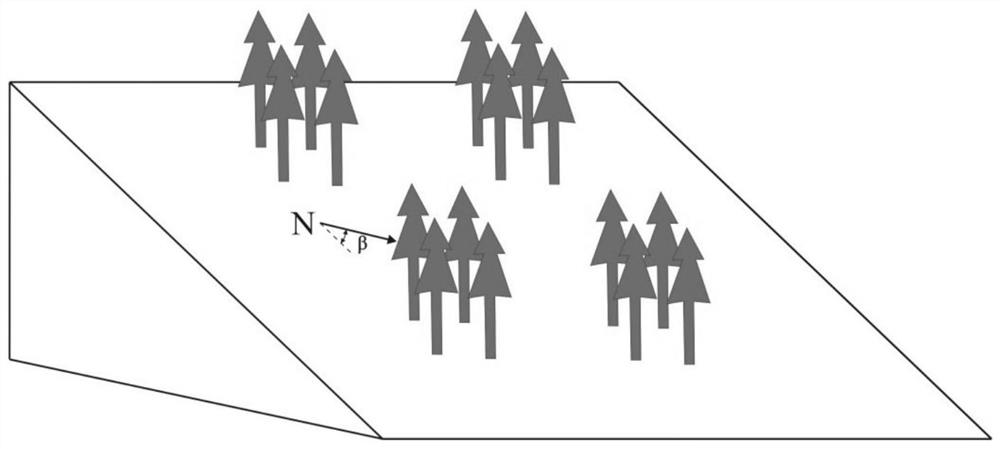 Typhoon area bamboo forest landslide safety coefficient calculation method