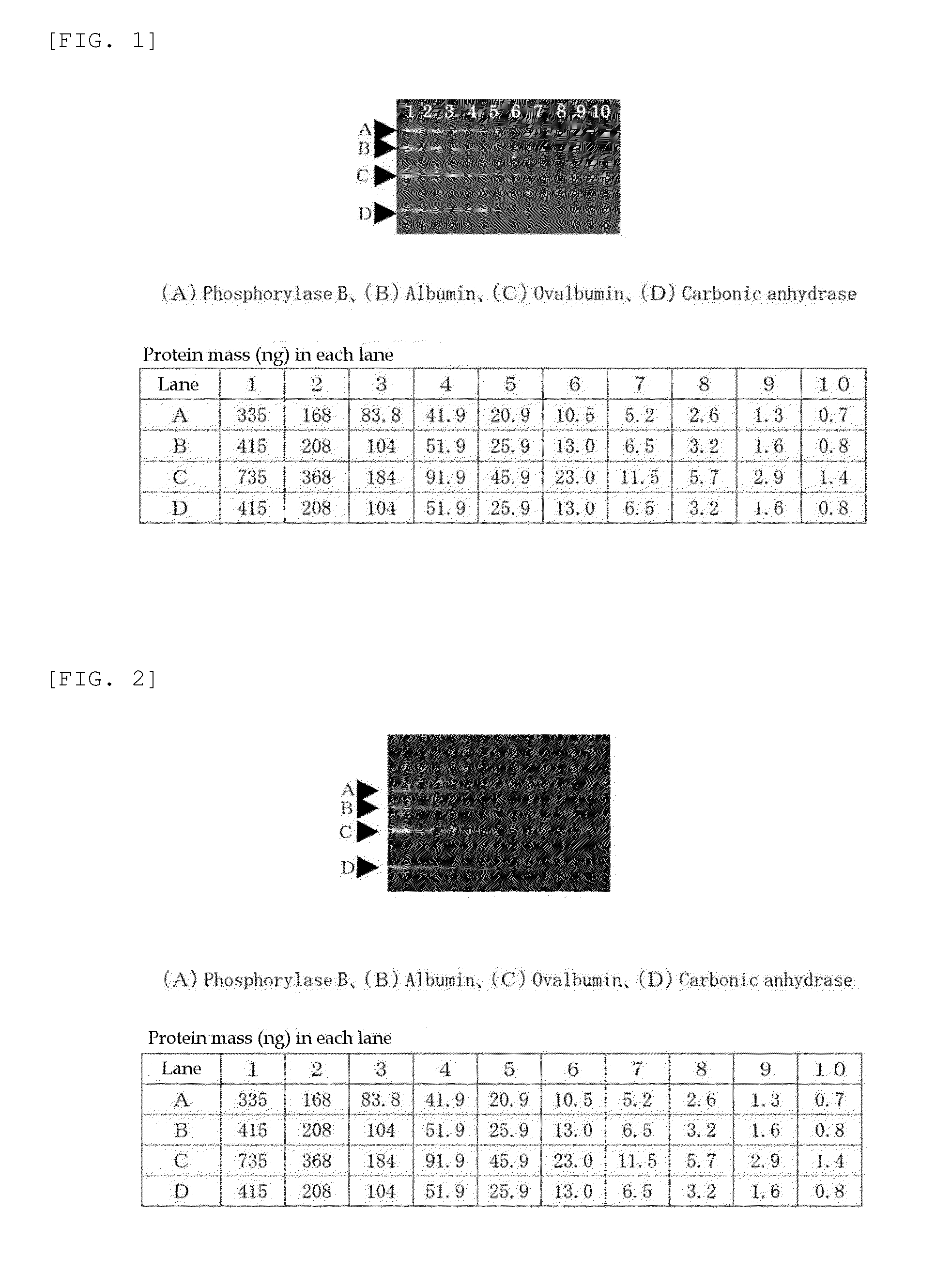 Method for analysis of protein and analytical reagent