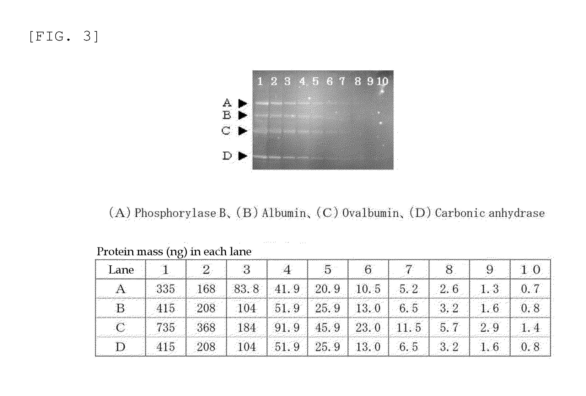 Method for analysis of protein and analytical reagent