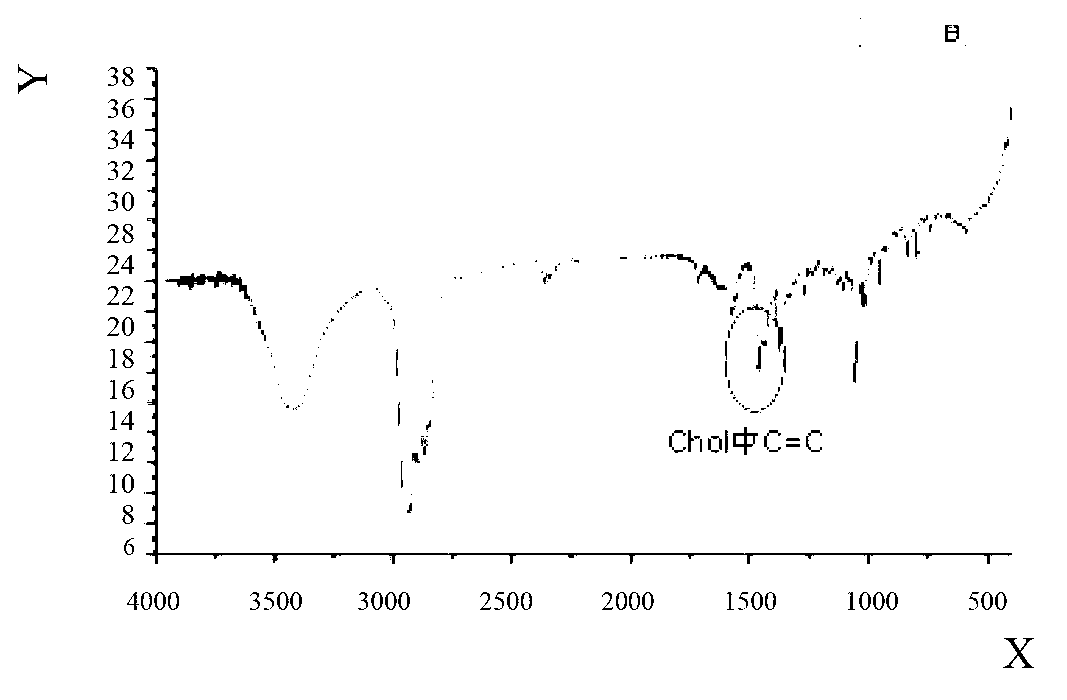 Folic acid modified norcantharidin stealth niosome and preparation method thereof