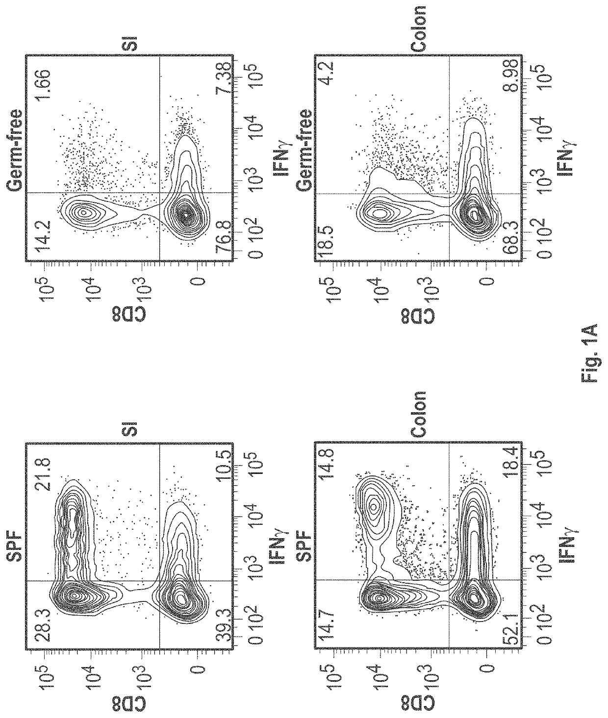 Compositions and methods for the induction of cd8+ t-cells