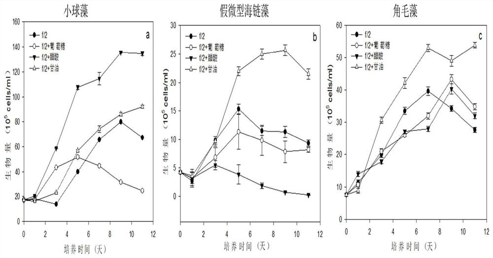 Method for rapidly propagating bait microalgae biomass by utilizing polyculture