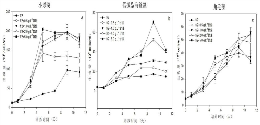 Method for rapidly propagating bait microalgae biomass by utilizing polyculture