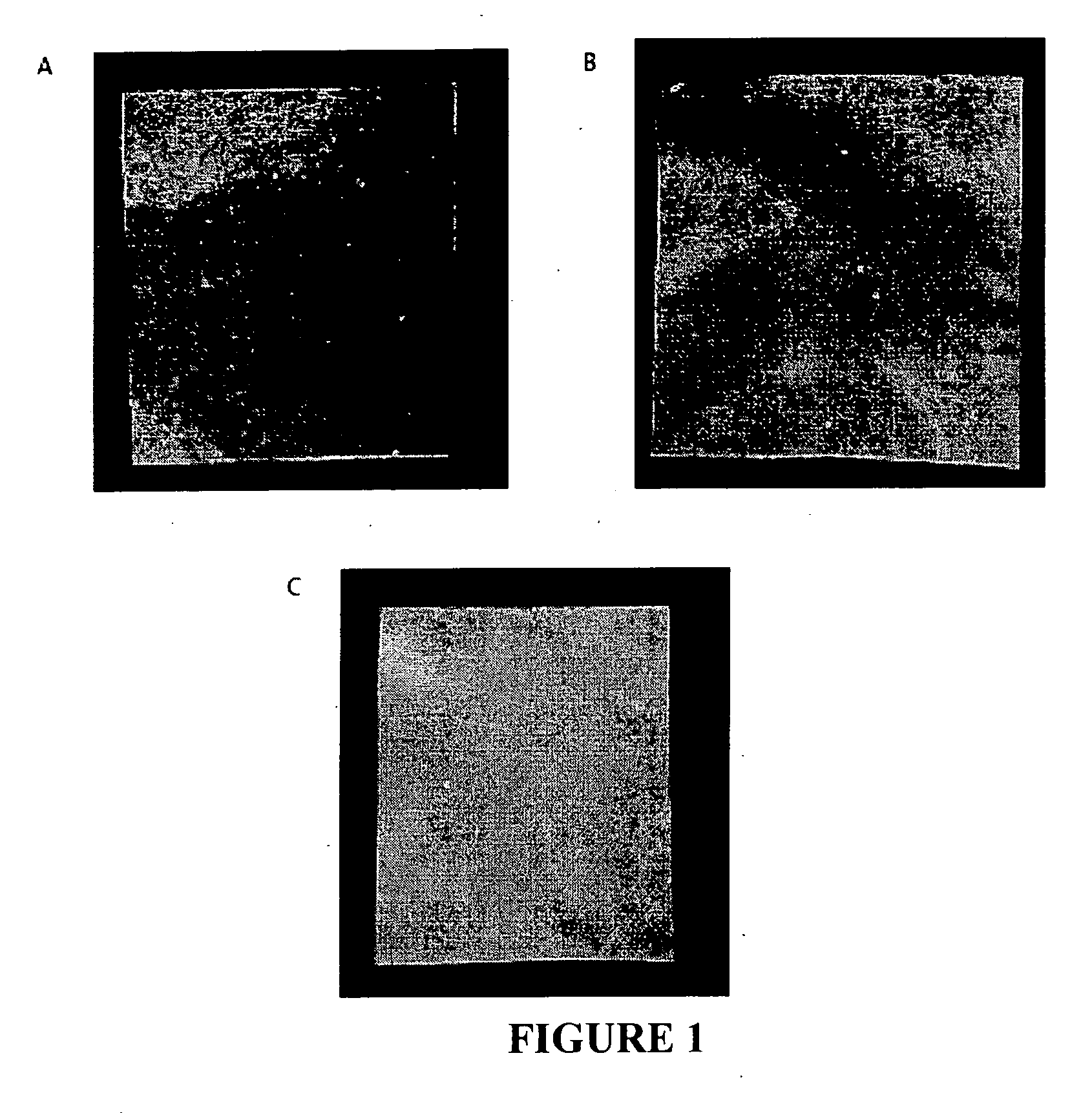 Method for producing cross-linked hyaluronic acid-protein bio-composites