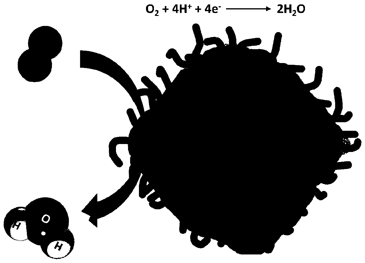 Platinum-nickel-cobalt alloy@carbon nanotube composite material, preparation and application thereof