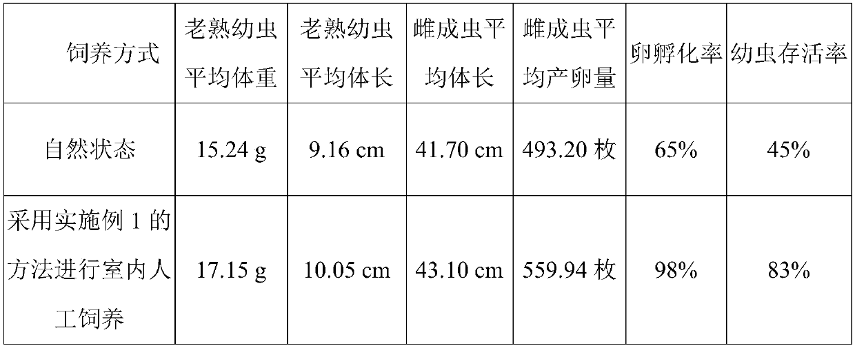 A kind of indoor artificial breeding method of cane root long beetle