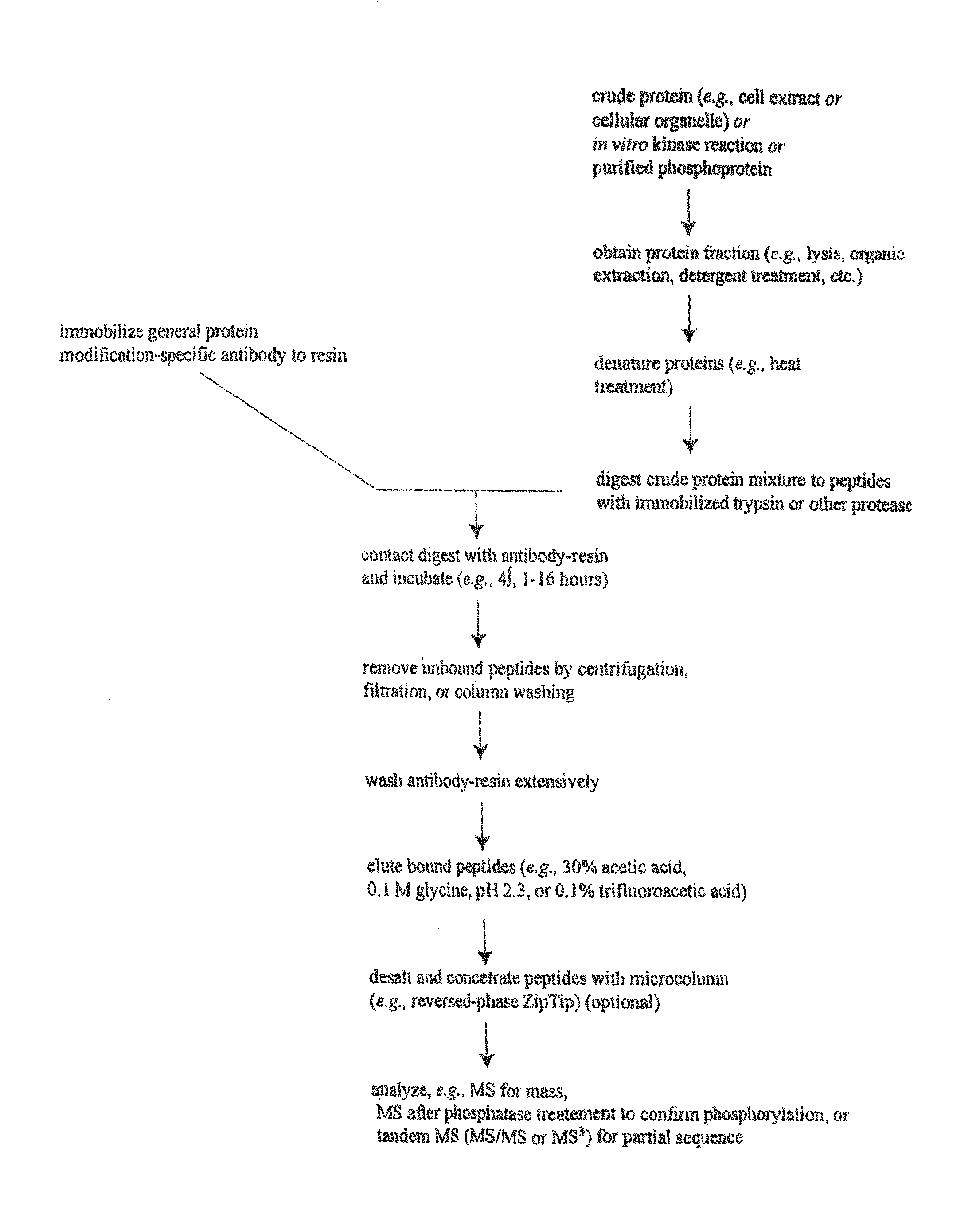 Lysine acetylation sites