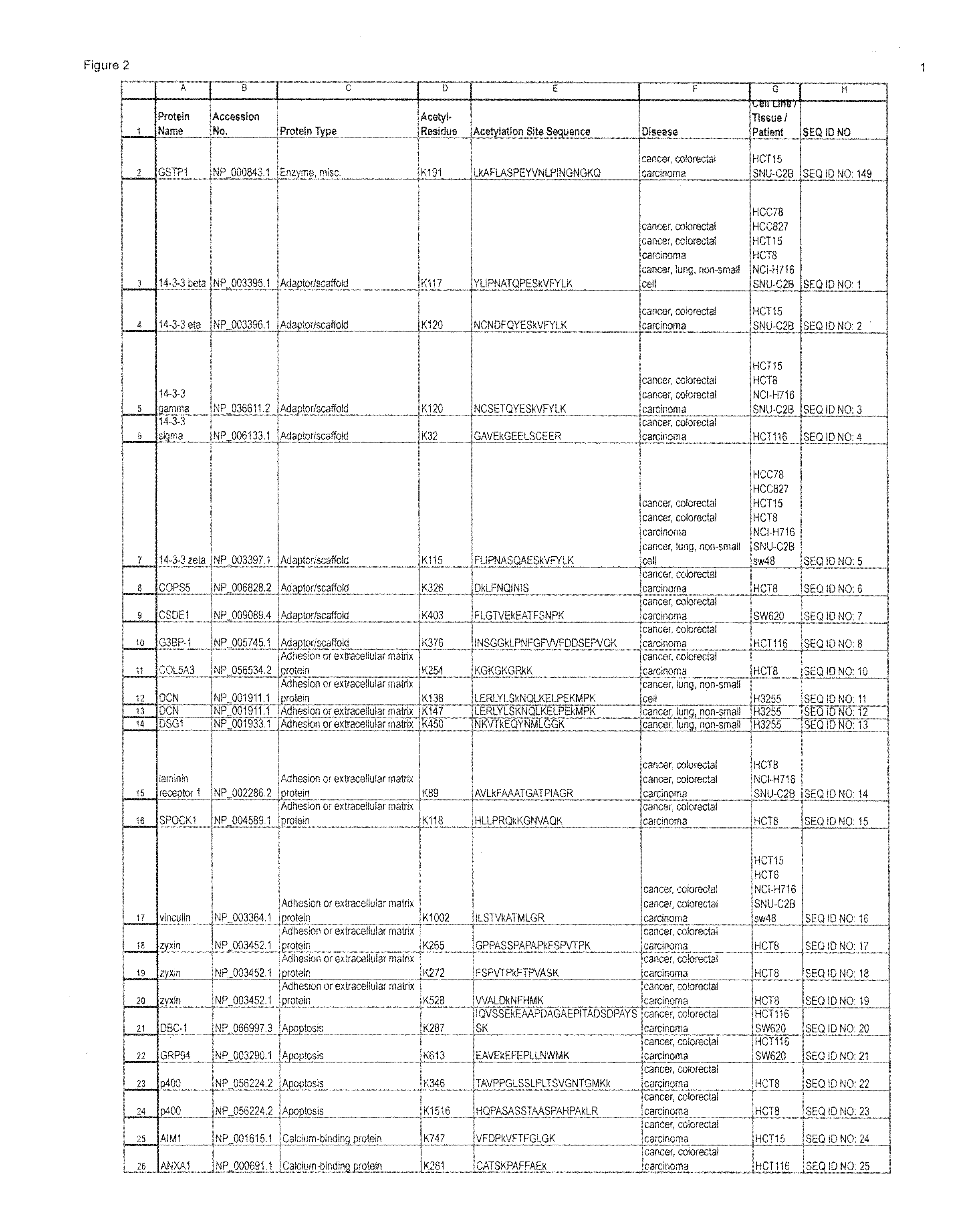 Lysine acetylation sites