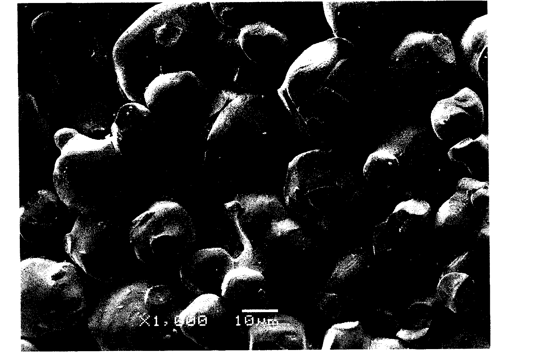 Uniform macromeritic tungsten powder and method for preparing tungsten carbide powder