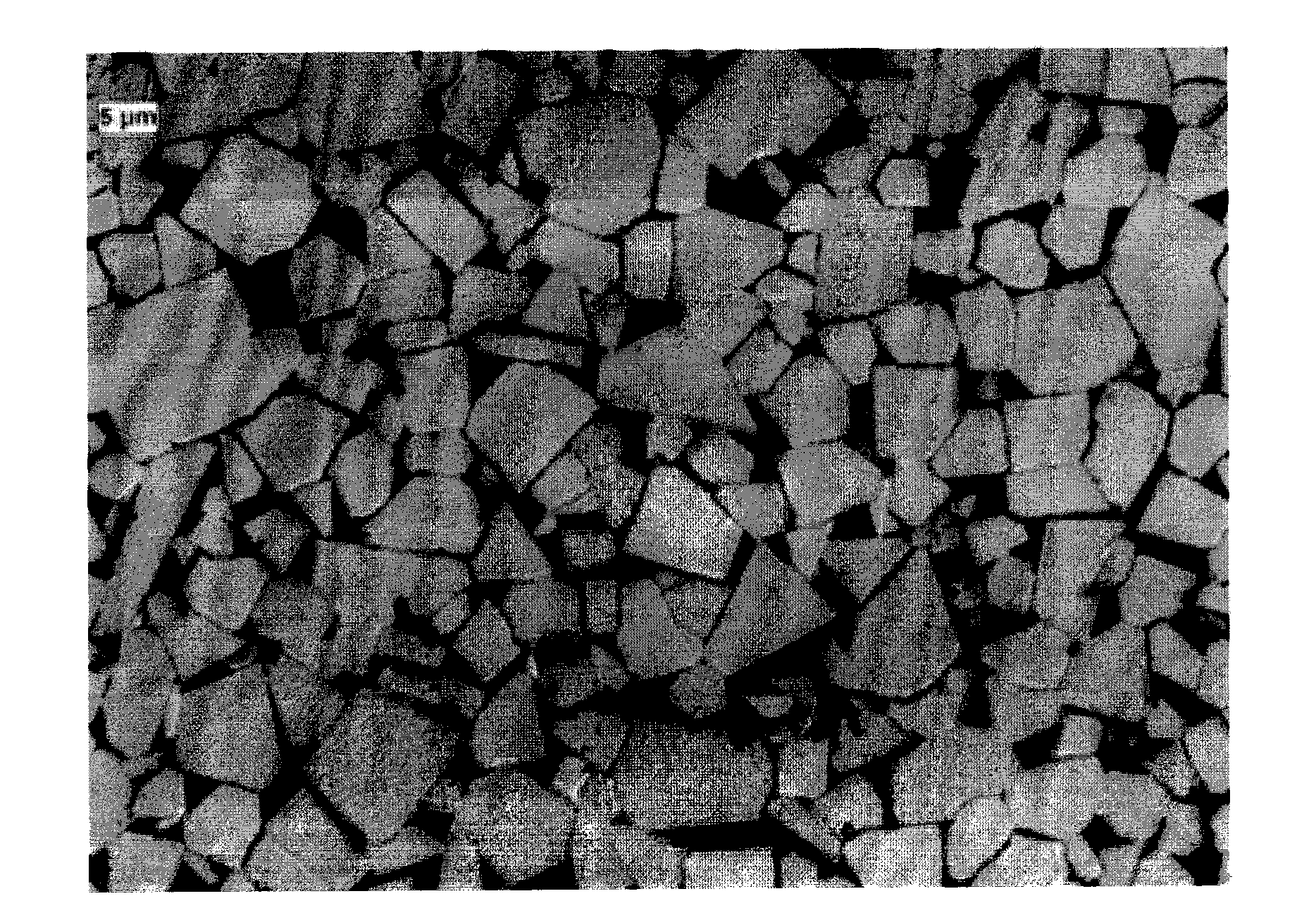 Uniform macromeritic tungsten powder and method for preparing tungsten carbide powder