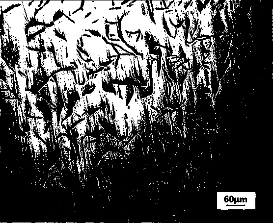 Tin and niobium composite alloying gray pig iron and production process thereof