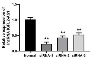 Application of lncRNA IGFL2-AS1 as a diagnostic marker for colon cancer