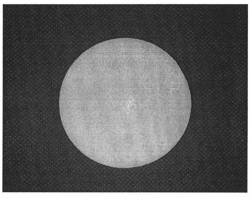 Method for preparing metal ion-doped titanium dioxide target material and target material thereby