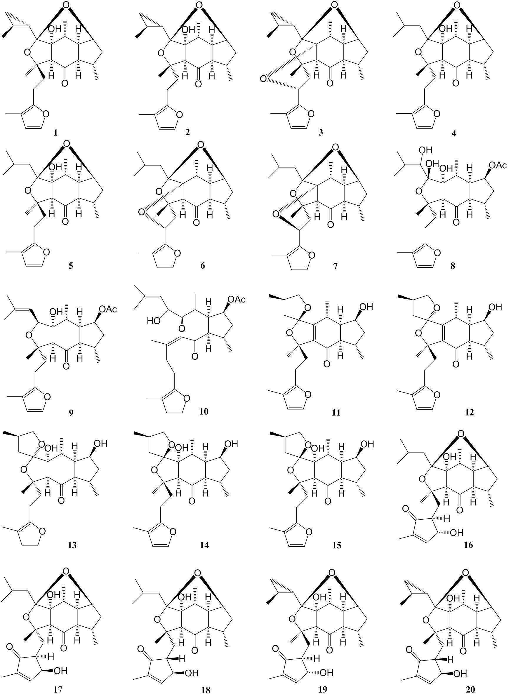 Sesterterpene compound and preparation method and application thereof