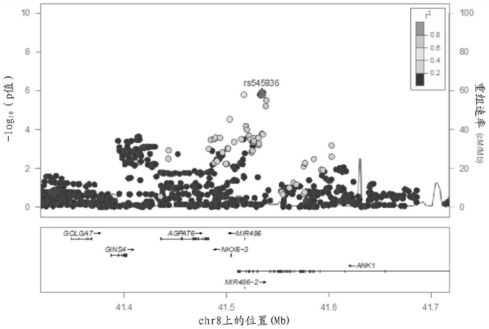 Methods of modulating nkx6.3