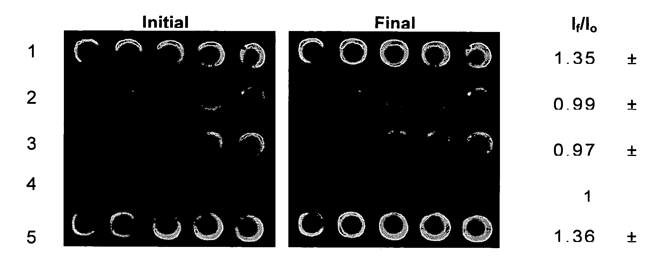 Multicomponent protein microarrays