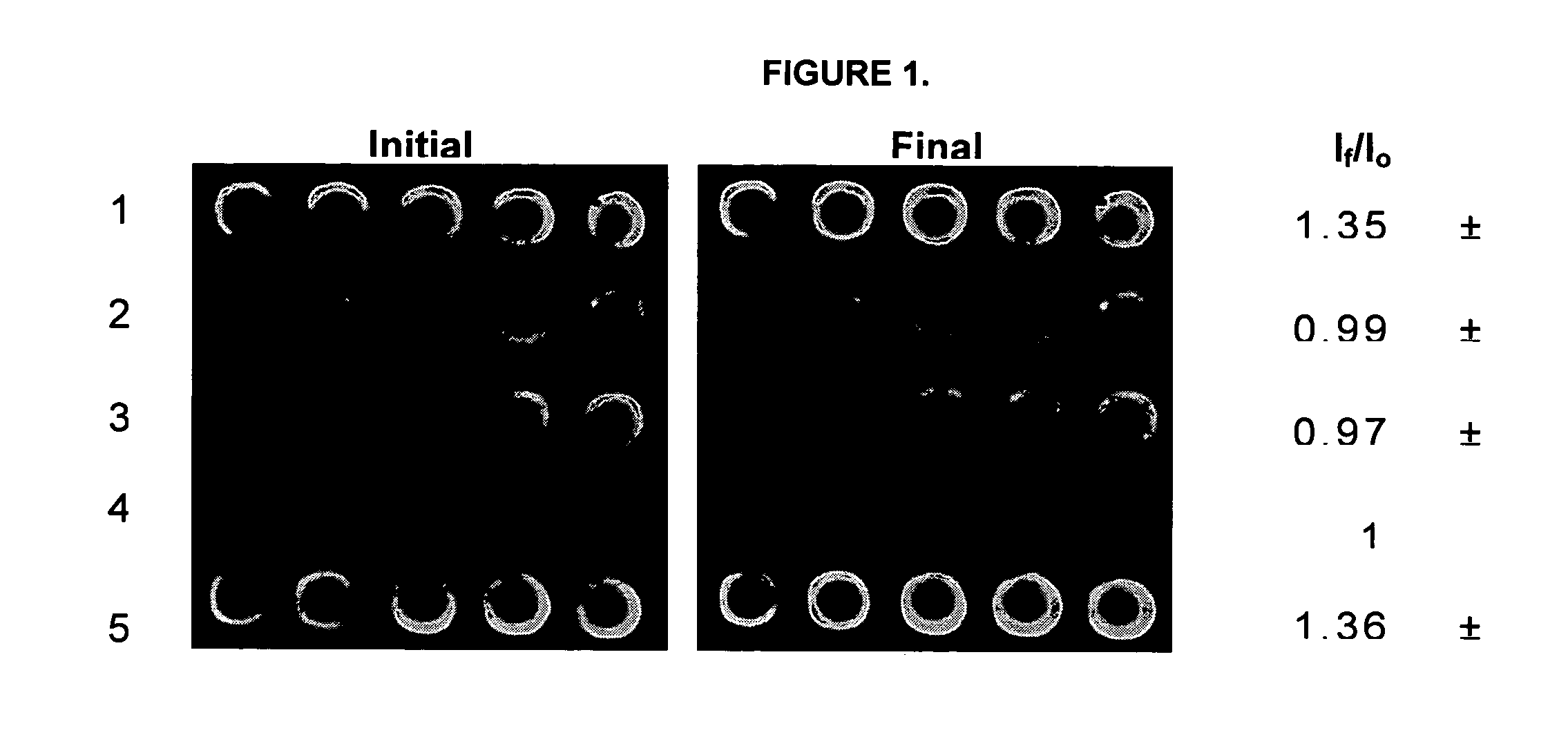 Multicomponent protein microarrays