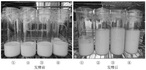 Preparation method of fermented rice cakes and fermented rice cake products