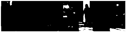 Human detection method based on non-negative matrix factorization