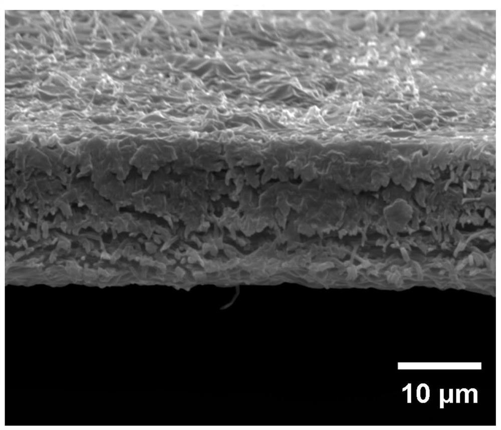 Waterproof moisture-permeable film and preparation method and application thereof