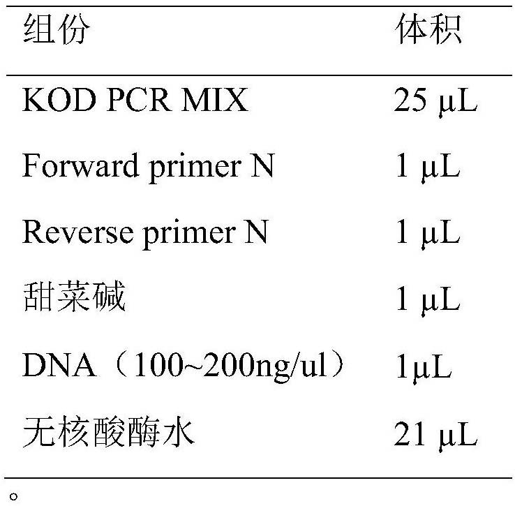 Primer set for enriching thalassemia genes through long-fragment PCR and application thereof