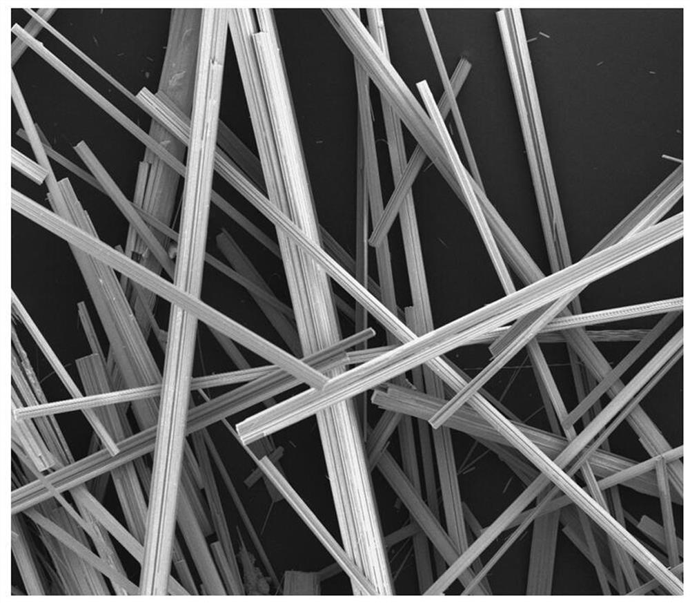 A kind of double niobium source alkali metal niobate micro-nanowire material and preparation method thereof