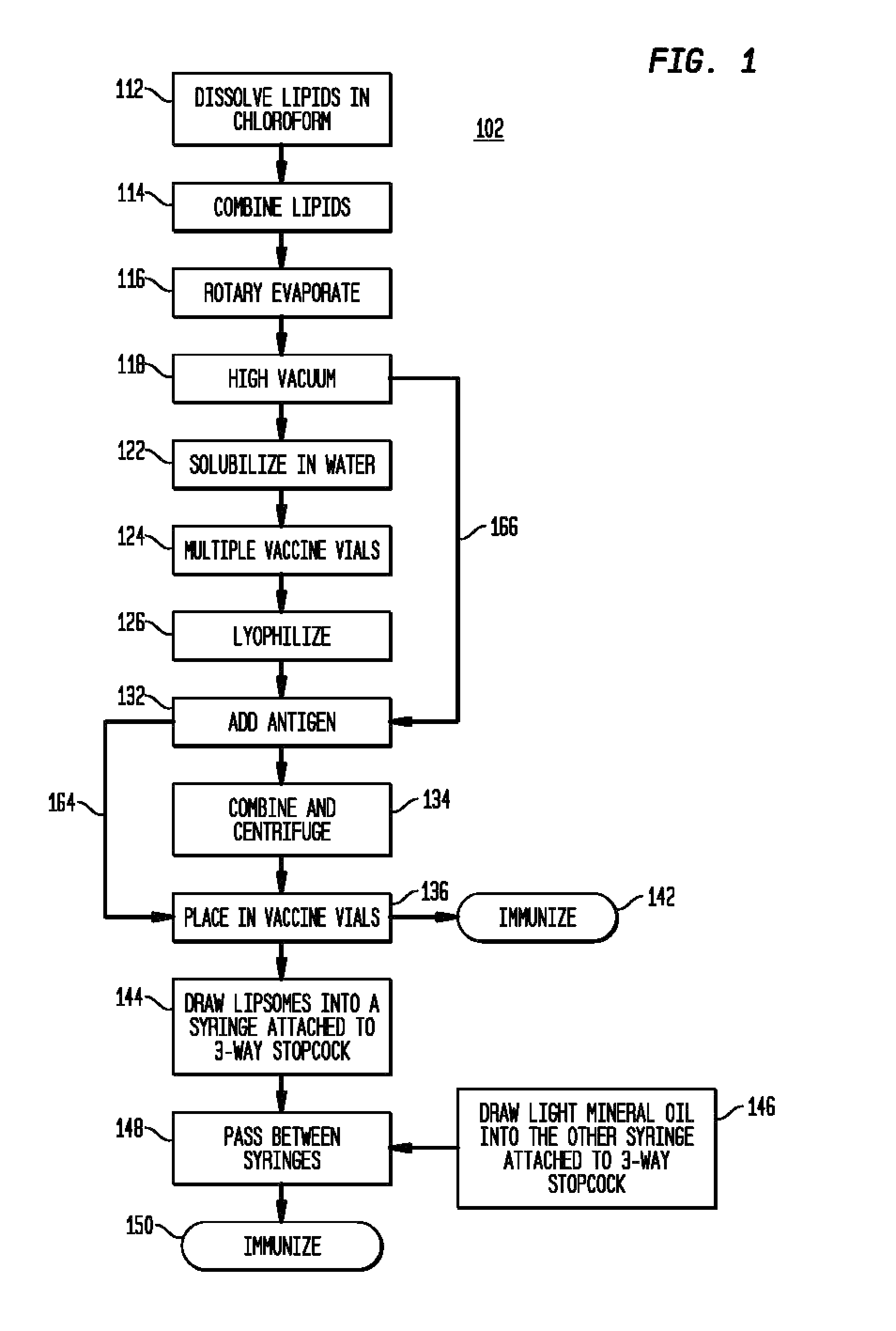 T4 bacteriophage bound to a substrate