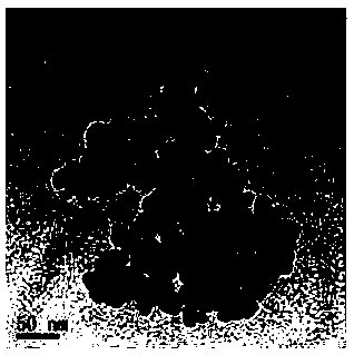 Method for producing functional nylon 6 alloy germanium far infrared fiber