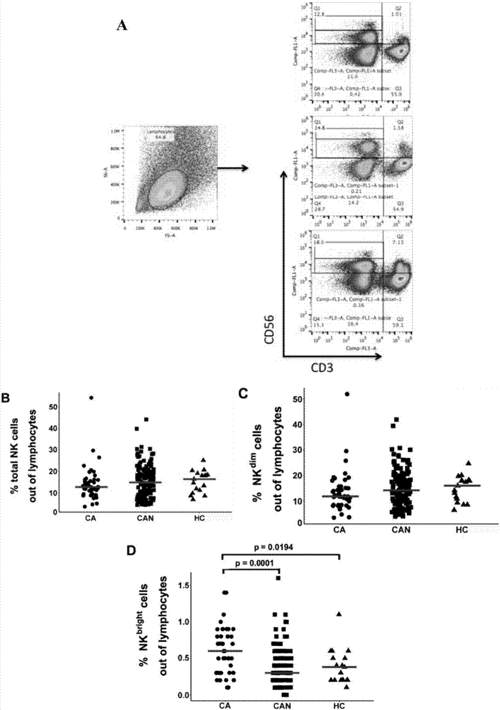 Constructing method of practical model for evaluating hepatitis B hepatopathy NK cell functions